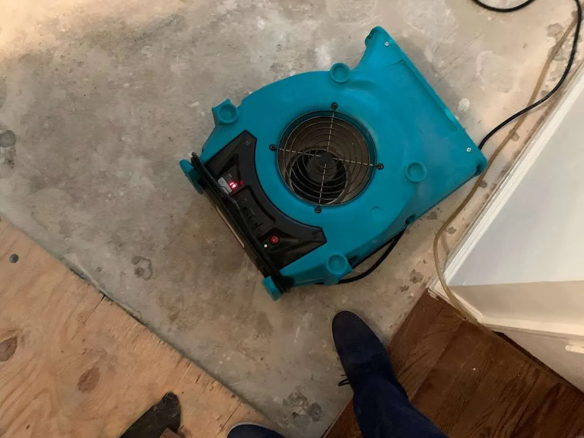 Air mover drying subfloor during Leak Detection & Repair in Ellicott